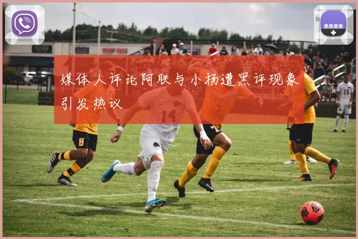 媒体人评论阿联与小杨遭黑评现象引发热议